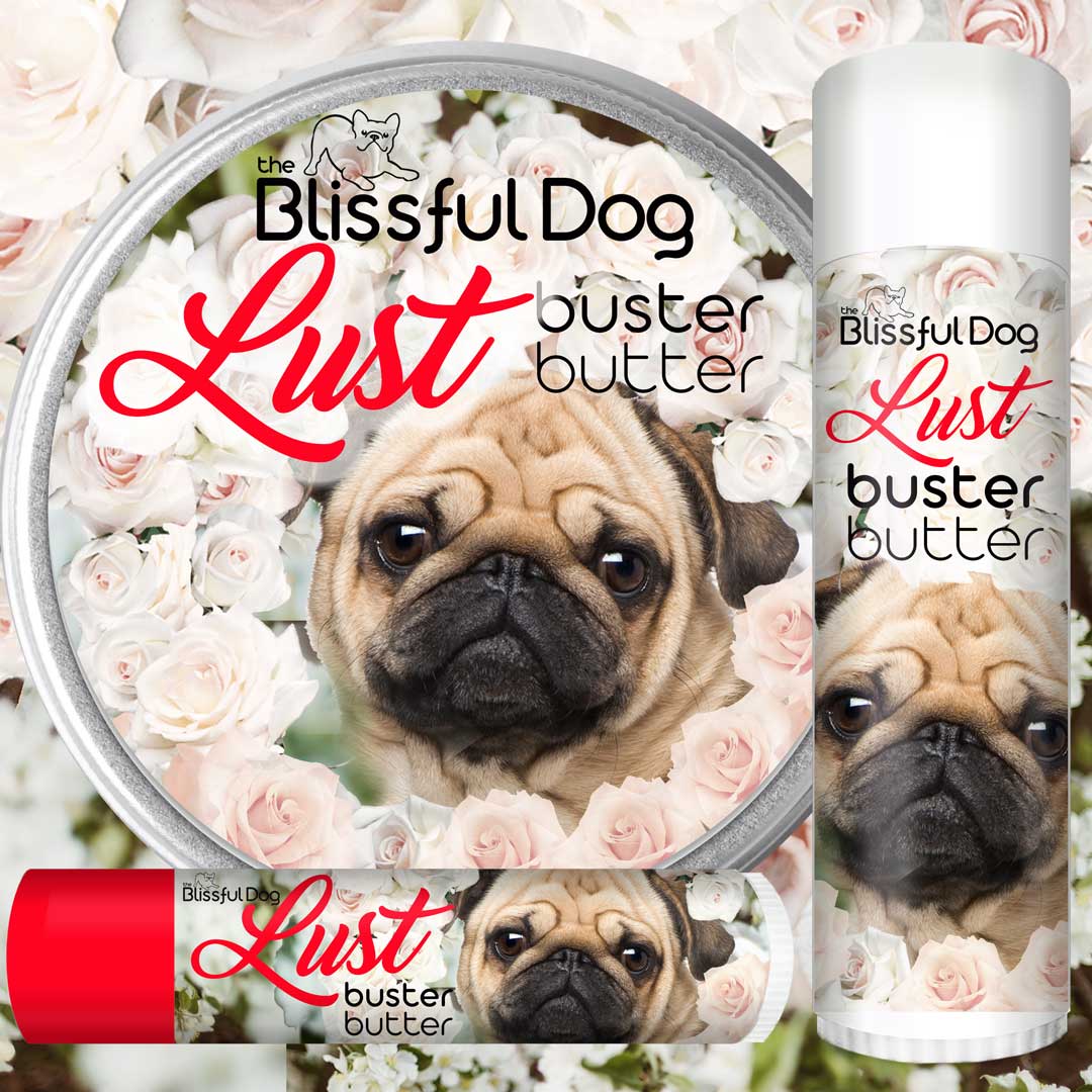 Pug Lust Buster